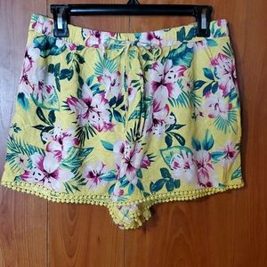 💛NWOT Hollister 💛 shorts💛